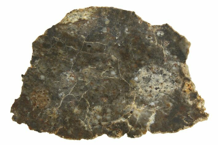 Lunar Meteorite ( g) Thin Slice - NWA #316704
